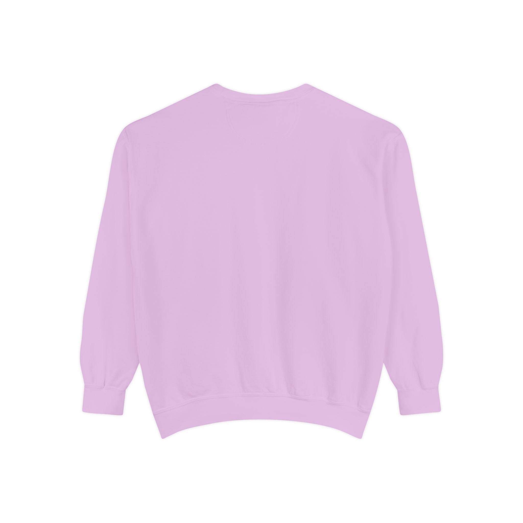 Lazy Panda Sweatshirt – “I’m Not Lazy (Just Energy Efficient)” Unisex Garment-Dyed Apparel