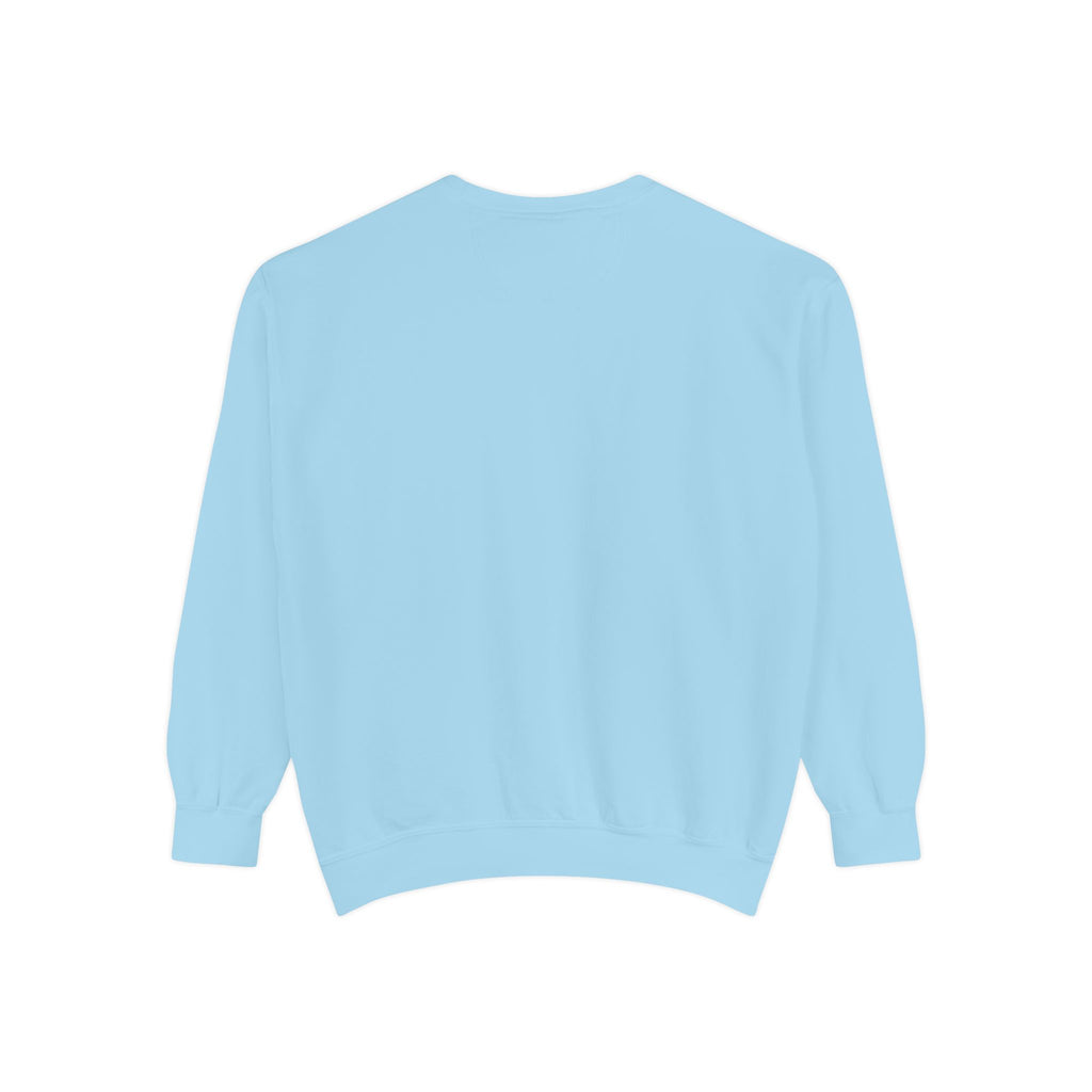 Judgy Owl Sweatshirt – “Silently Judging Your Font Choices” Unisex Garment-Dyed Apparel