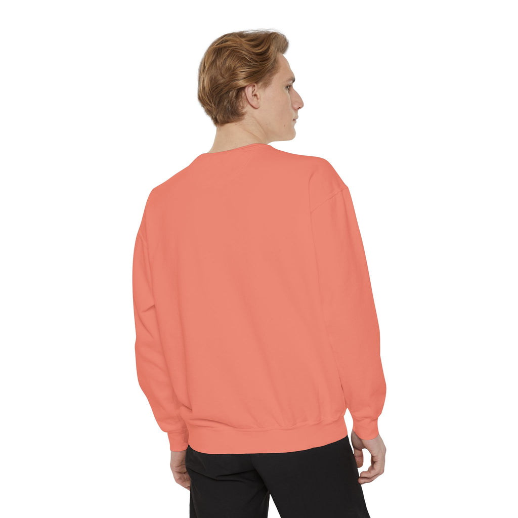 Doubtful Owl Sweatshirt – “Optimistic Pessimist (Maybe)” Unisex Garment-Dyed Apparel