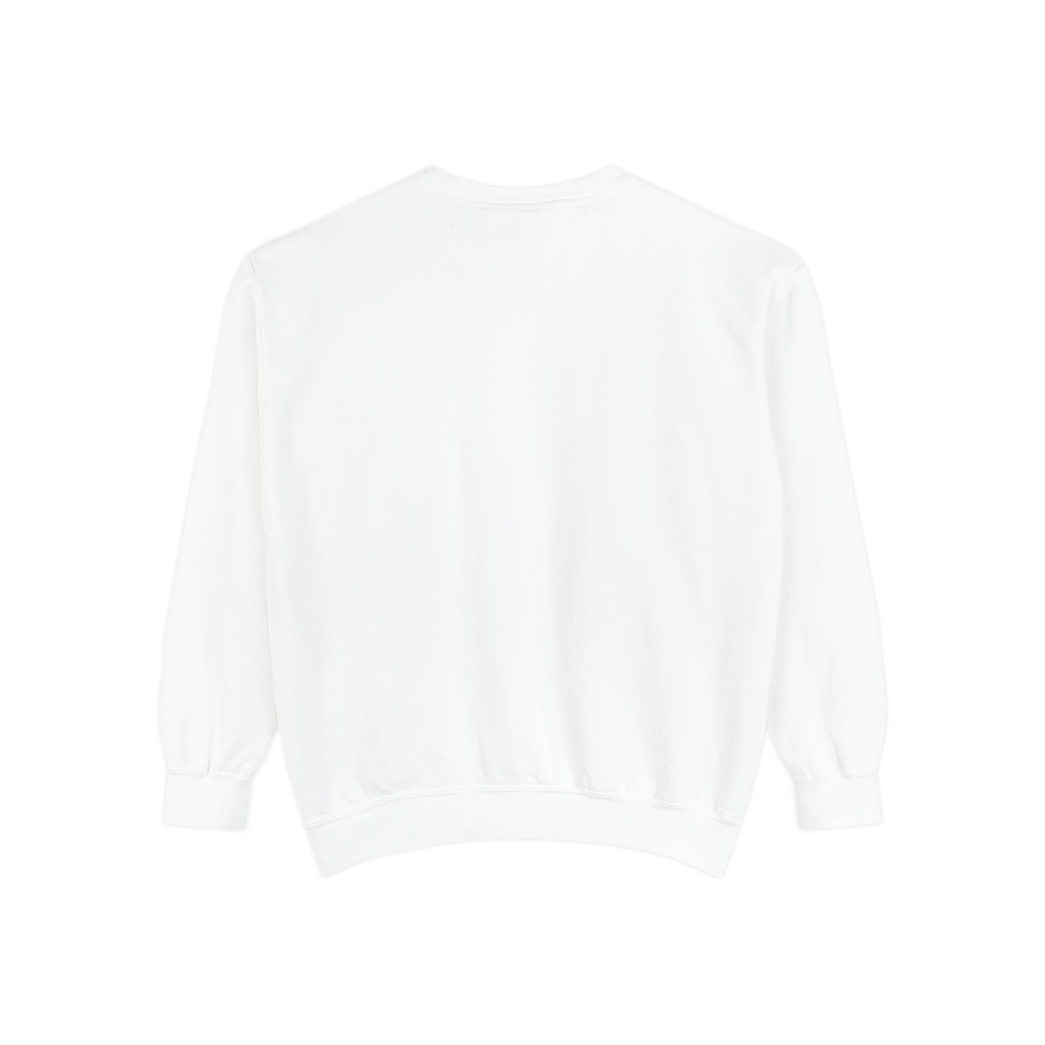 🐢 Cozy Turtle Sweatshirt – “Introverting in Progress” Unisex Relaxed Fit Apparel