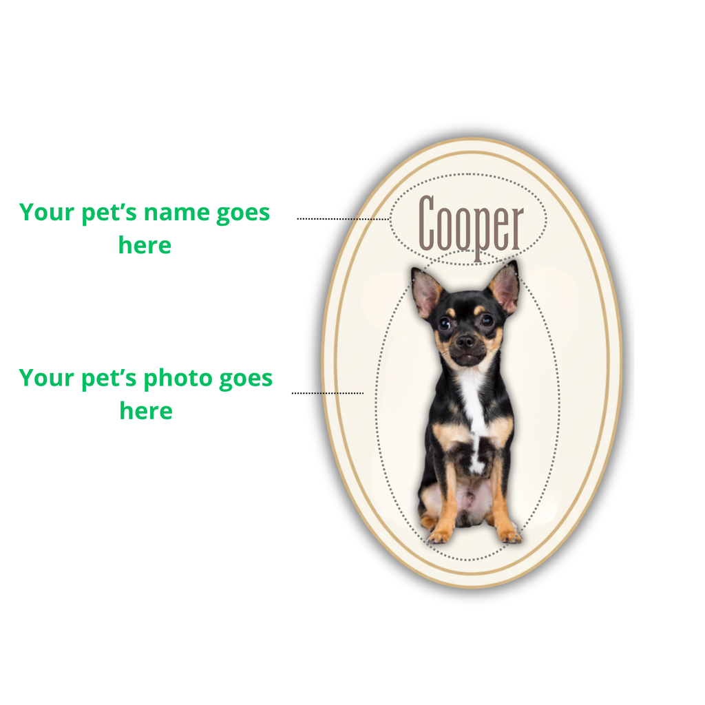 Personalized Pet Portrait Mug — Custom Pet Photo & Name Coffee Mug, Elegant Custom Pet Design (11oz/15oz)