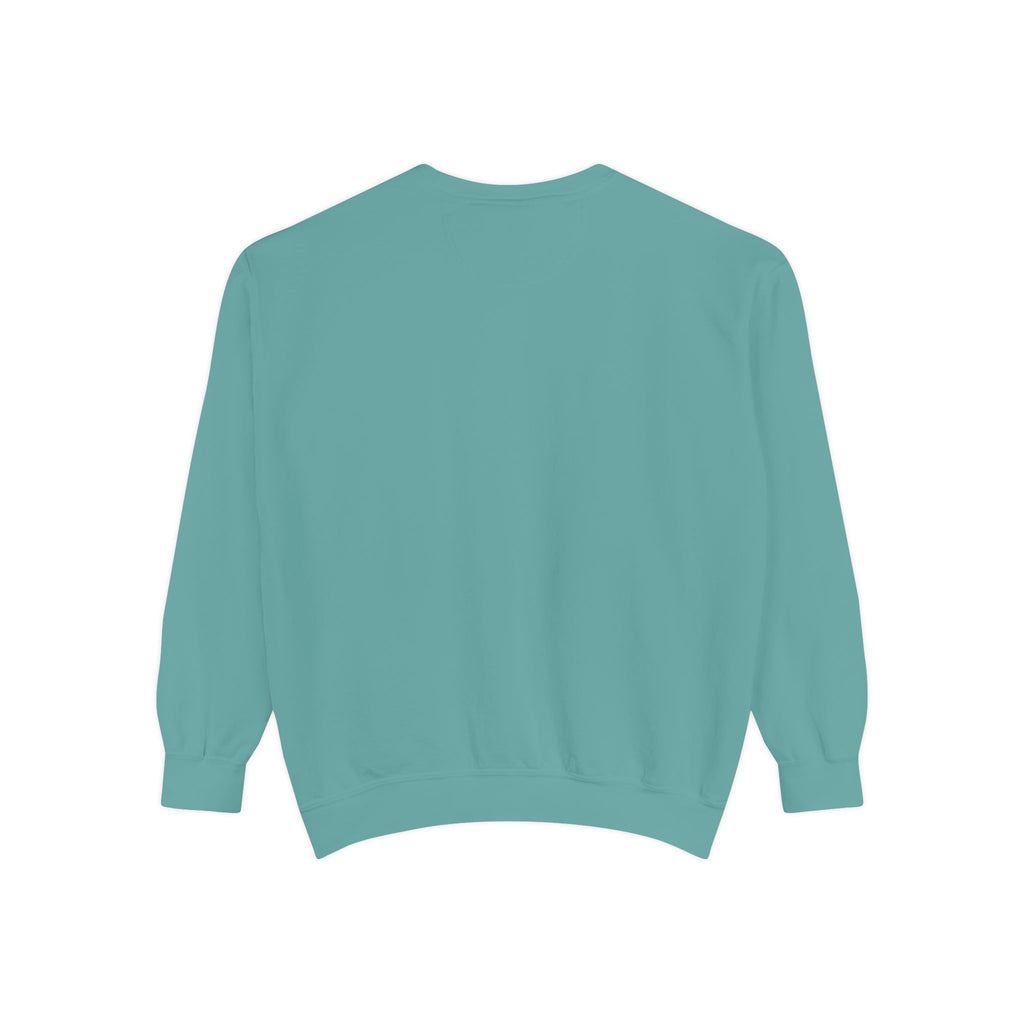 🐢 Cozy Turtle Sweatshirt – “Introverting in Progress” Unisex Relaxed Fit Apparel