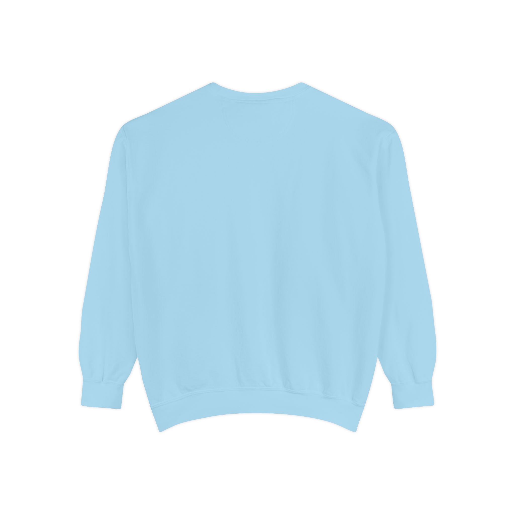 🐢 Cozy Turtle Sweatshirt – “Introverting in Progress” Unisex Relaxed Fit Apparel